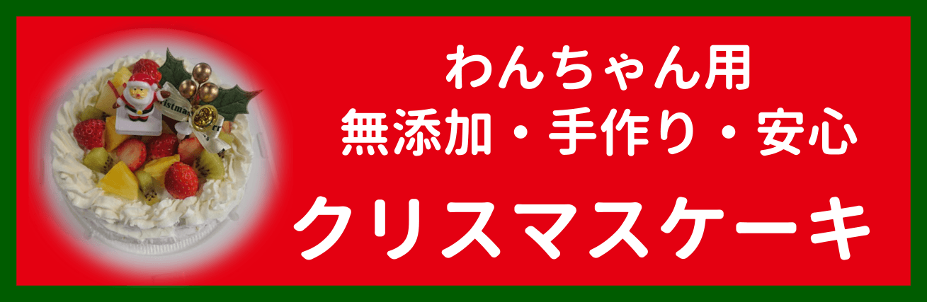 わんちゃん用クリスマスケーキ