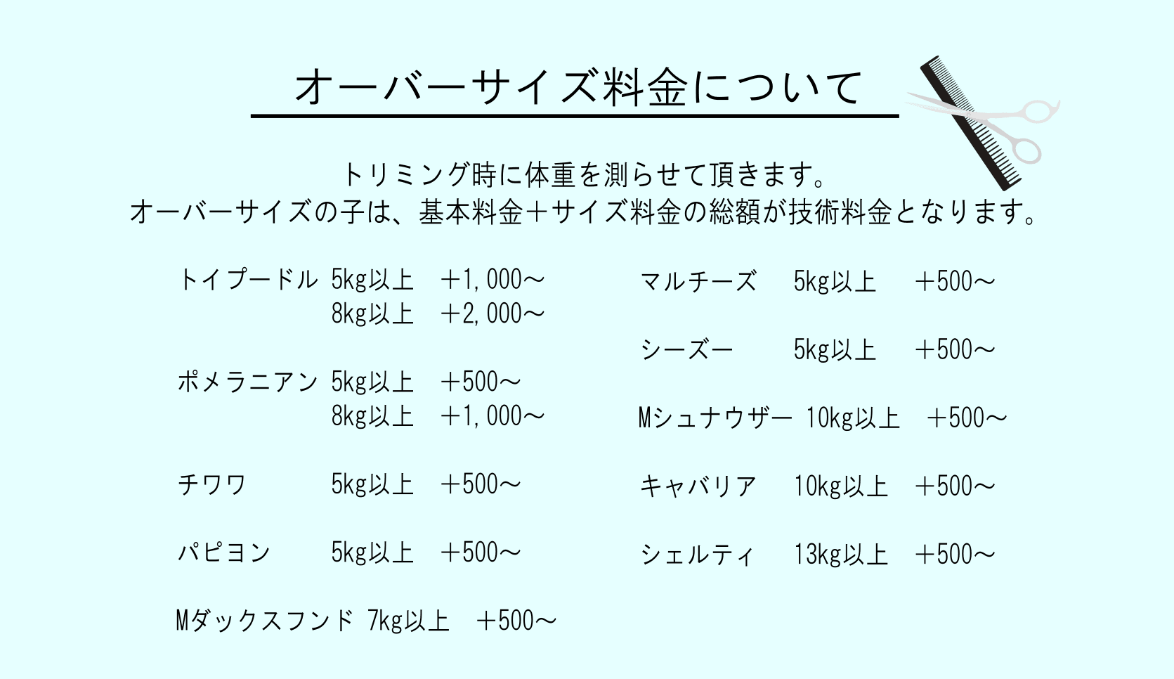 オーバーサイズ料金