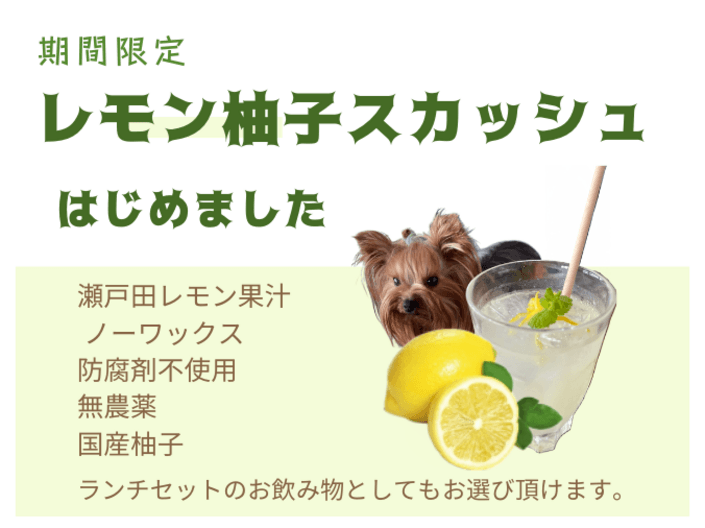 lemonhp